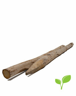 Kastanjehouten paal 250 cm