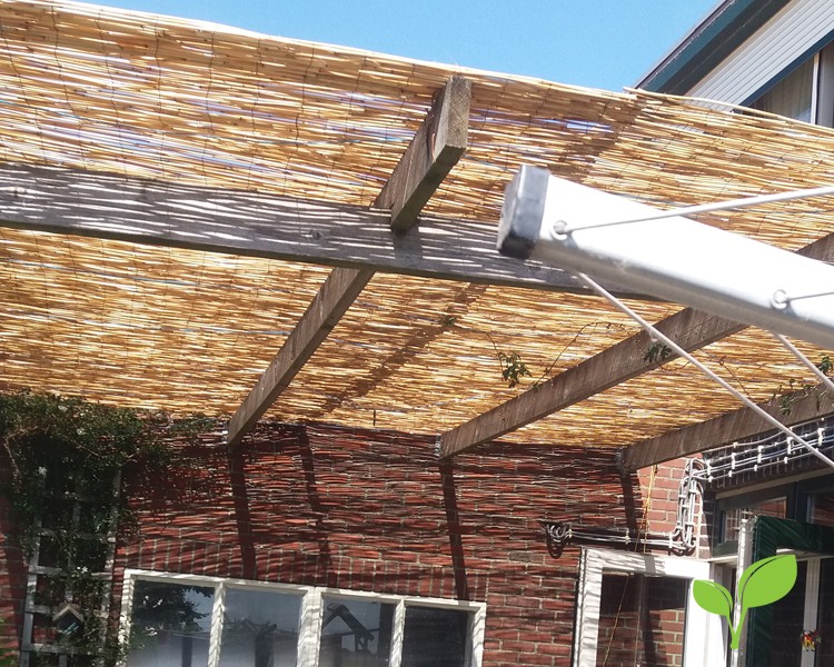 Rietmat op pergola