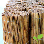 Rietmat 100 x 600 Premium